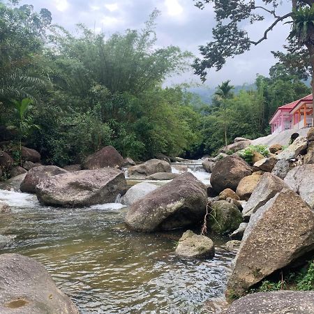 Chalet Latip D'Ayer Itam Otel Kampong Ayer Hitam  Dış mekan fotoğraf