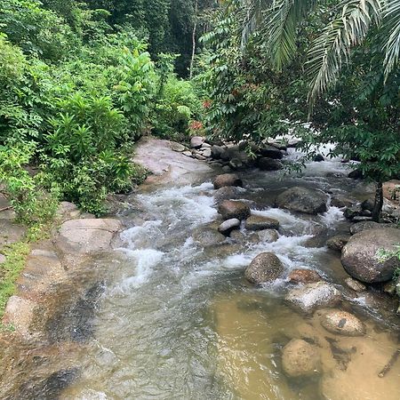 Chalet Latip D'Ayer Itam Otel Kampong Ayer Hitam  Dış mekan fotoğraf