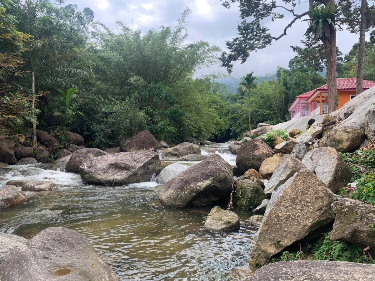 Chalet Latip D'Ayer Itam Otel Kampong Ayer Hitam  Dış mekan fotoğraf